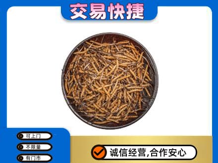 金华市婺城回收散虫草